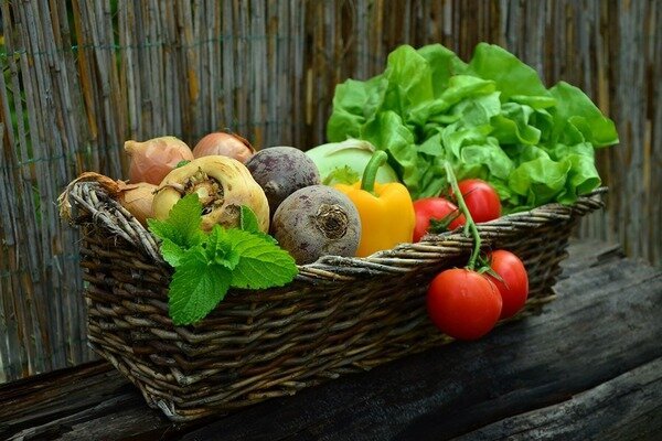 Saisonales Gemüse ist gesünder (Foto: Pixabay.com)