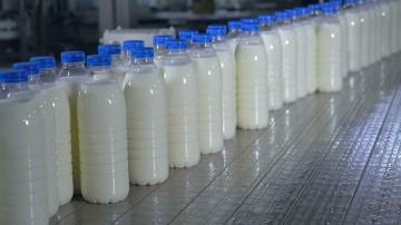 Was macht eigentlich die Milch? Gibt an, wie eine Fälschung zu unterscheiden