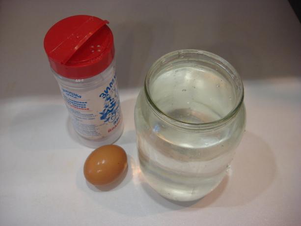 Foto vom Autor (Salz, ein Glas Wasser, Ei, blättern nach rechts)