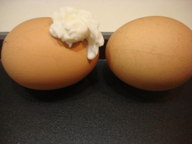 Gemachtes Bild vom Autor (links einfach geknackt Ei, Ei rechts gefettet Zitrone)
