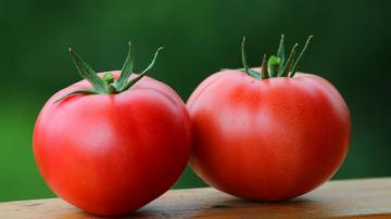 Tomaten: das Blut verdünnen, Heilung Hypertonie, Diabetes und sogar Onkologie