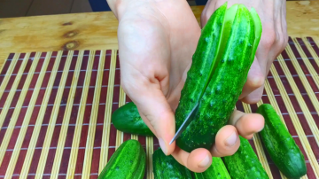 Gurken Vorspeise. Duftend, saftig, hell und überraschend lecker. Aber es bereitet sich schnell vor