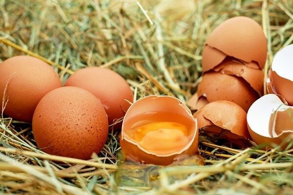 Eier sollten nicht frisch gegessen werden, da dies das Auftreten von Parasiten im Körper gefährdet. (Foto: Pixabay.com)