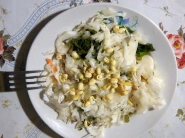 Salat probiotischen nützlich für den Darm