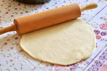 Flan mit Pilzen und Tomaten