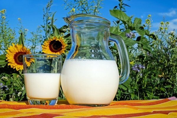 Besser Milch von privaten Bauernhöfen kaufen (Foto: pixabay.com)