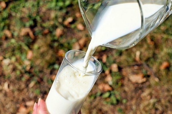 Wenn Sie jedoch nach einem Glas Milch unangenehme Empfindungen im Magen oder Darm verspüren, ist es besser, diese zugunsten fermentierter Milchprodukte abzulehnen (Foto: Pixabay.com).