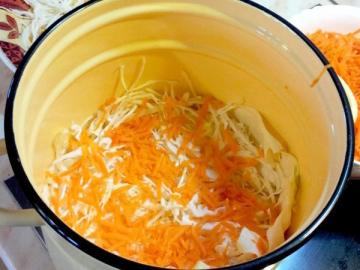 Parse-Fehler in Sauerkraut