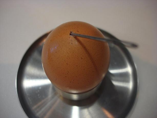 Foto vom Autor (Ei mit einer Nadel durchstochen, nach rechts scrollen)