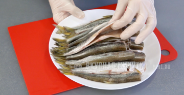 Getrockneter Fisch zu Hause: Keine Notwendigkeit, die Brise zu fangen und Fliegen zu vertreiben