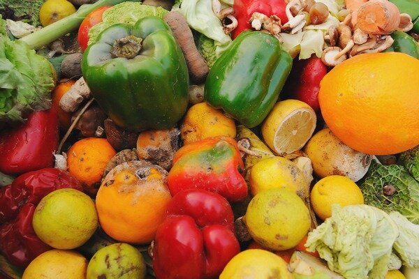 Faules Obst und Gemüse ist nicht die beste Wahl zum Nähen. (Foto: nycfoodpolicy.org)