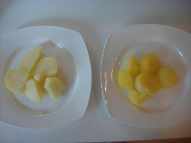 Gemachtes Bild vom Autor (gekochte Kartoffeln links von dem „Pyaterochka“, rechts von dem „Magnit“)