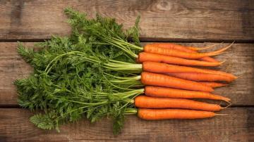 Freeze-Karotten für den Winter nach allen Regeln