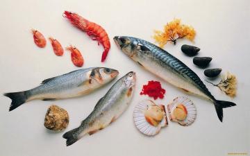 Wie Meeresfrüchte und Seefische kochen?