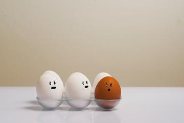 Geräucherte Eier für die Herstellung von denen nicht eine Räucherkammer und Gerichte von ihnen braucht