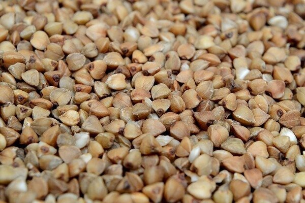 Eines der gesündesten Getreide ist Buchweizen (Foto: Pixabay.com)