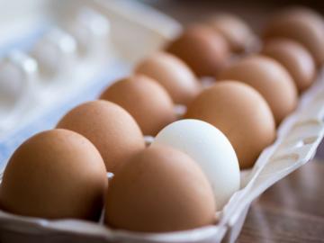 Wie zu überprüfen: Ei frisch oder verdorben?