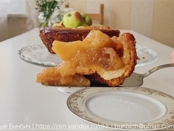 Ein Stück vom Kuchen aus Äpfeln und Brot. Charlotte auf Deutsch