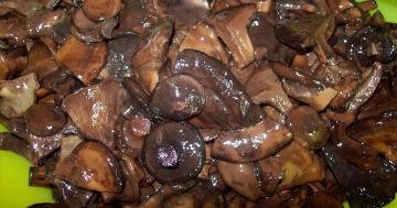 Wie man richtig und köstlich marinierten Pilzen svinushki?